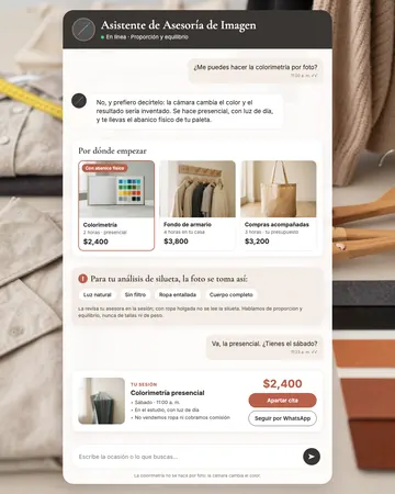 Pantalla del asistente de asesoría de imagen