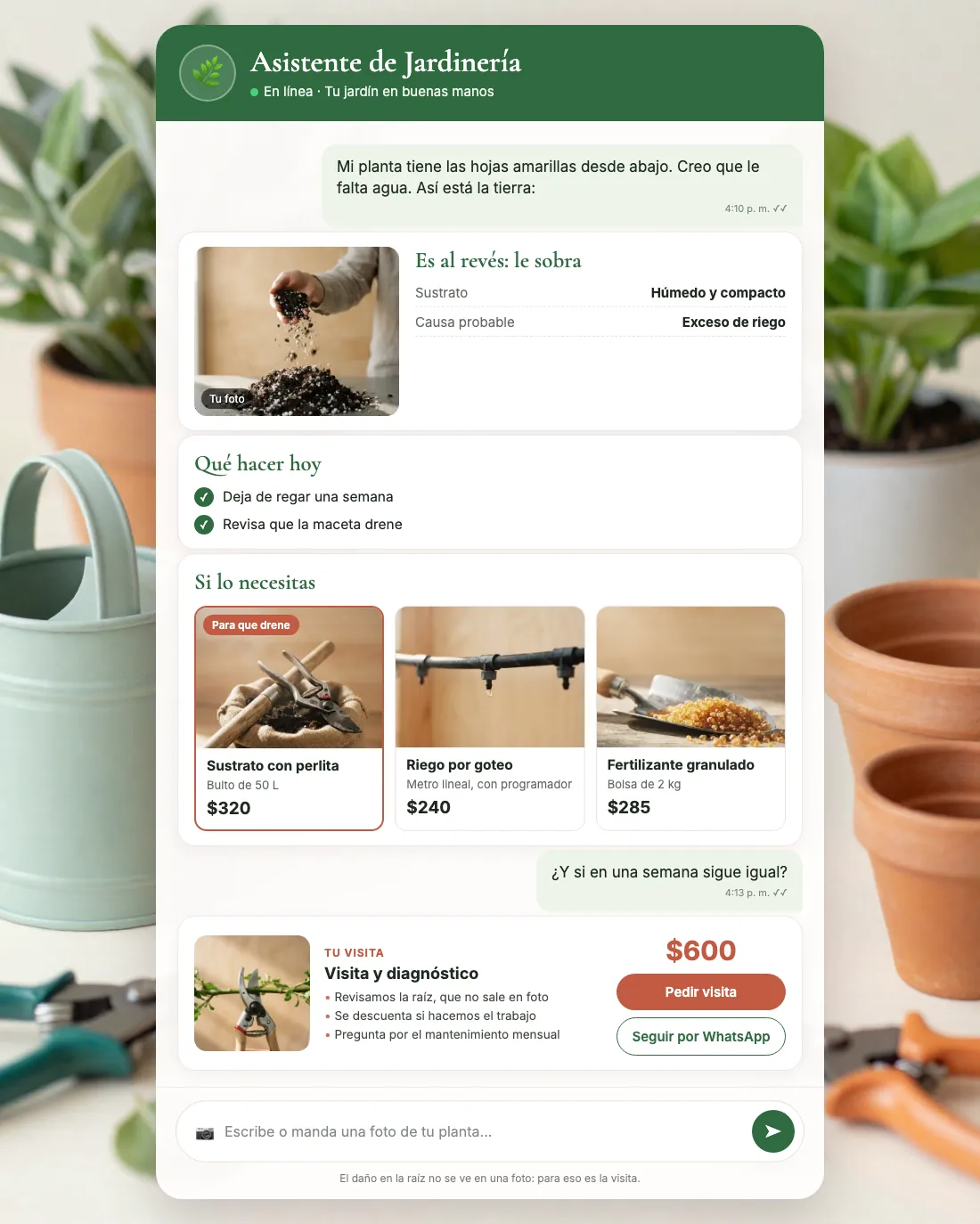 Pantalla del asistente de jardinería y paisajismo: Male contestando en Jardinería Raíz Verde