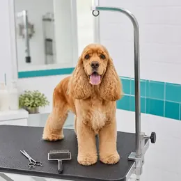 Baño y corte de pelo